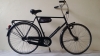 Hollandrad: