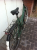 Froschrad 3 gang: