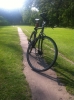 Schwalbe: