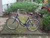 CityRad Marke PEGASUS: