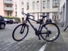 Wildcross Trekkingbike: