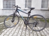Wildcross Trekkingbike: