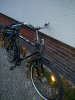 Blackfrog Froschrad: