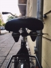 City Cruiser: