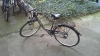 Berlin by Bike: