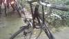 Berlin by Bike: